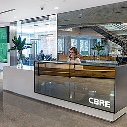 A person sitting at a counter.