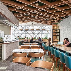 The Banana Leaf Apolo