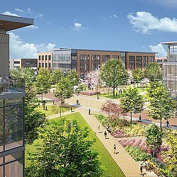 A courtyard with trees and buildings in the background.