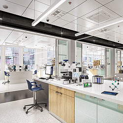 An office with a chair and a desk.