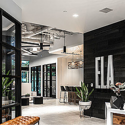 A room with black walls and black doors.