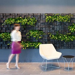 A person walking by chairs.