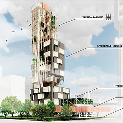 A building under construction.