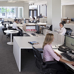 A group of people in an office.