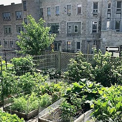 A garden in front of a building.