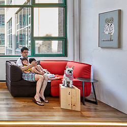 A person and a dog sitting on a couch with a cat.