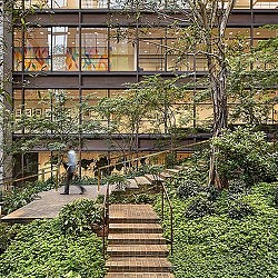 A person walking up a flight of stairs to a building.