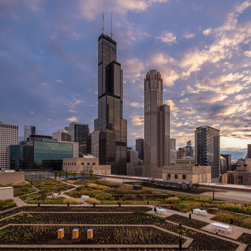 A city with tall buildings.