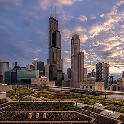 A city with tall buildings.