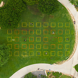 A park with a large green lawn.