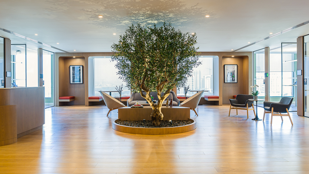 A room with a tree and chairs.