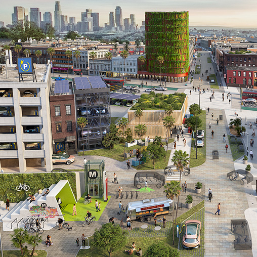 A city with a park and a large green tree.