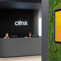 Citrix Cambridge reception with biophilic side wall