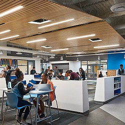 A group of people sitting at tables.