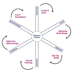 Organon The Model graphic