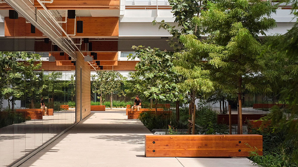 Fifth + Tillery breezeway with mass timber and greenery.