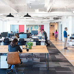 A group of people in an office.