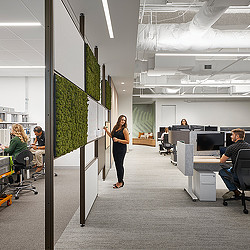 NI pilot workplace R&D space with Maars living wall partition