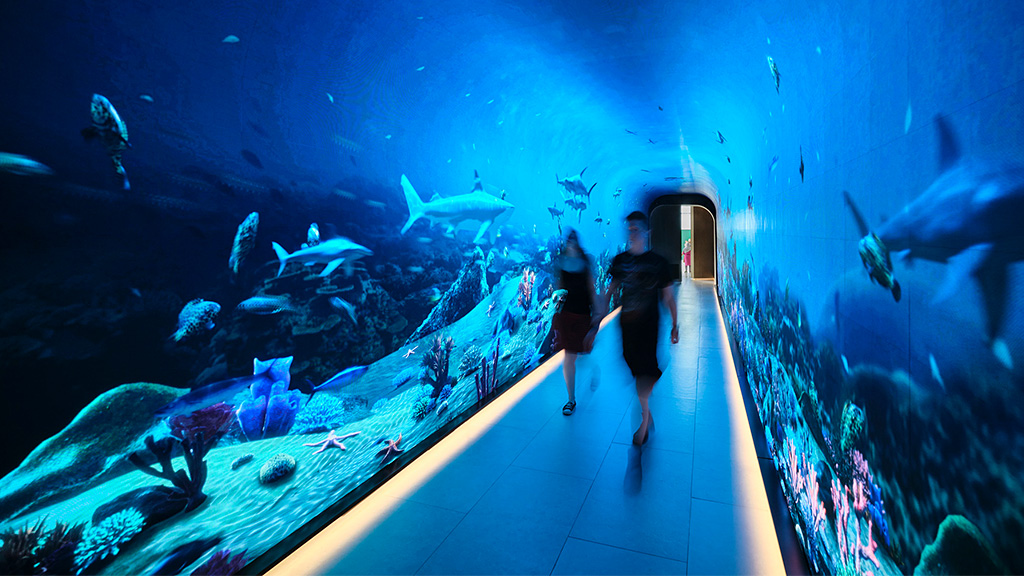 A man and woman walking through a fish tank.