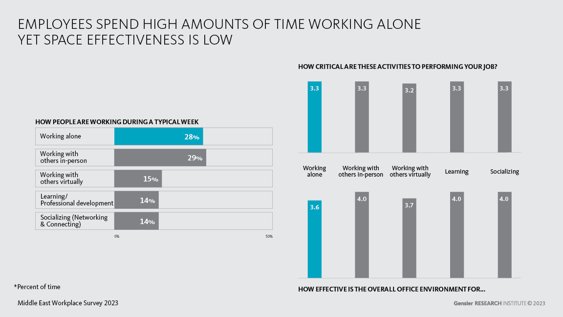 Middle East Workplace Survey 2023