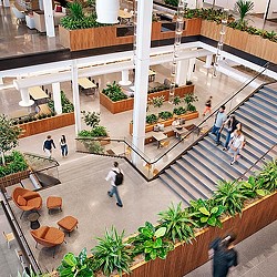 Insight Headquarters central internal staircase