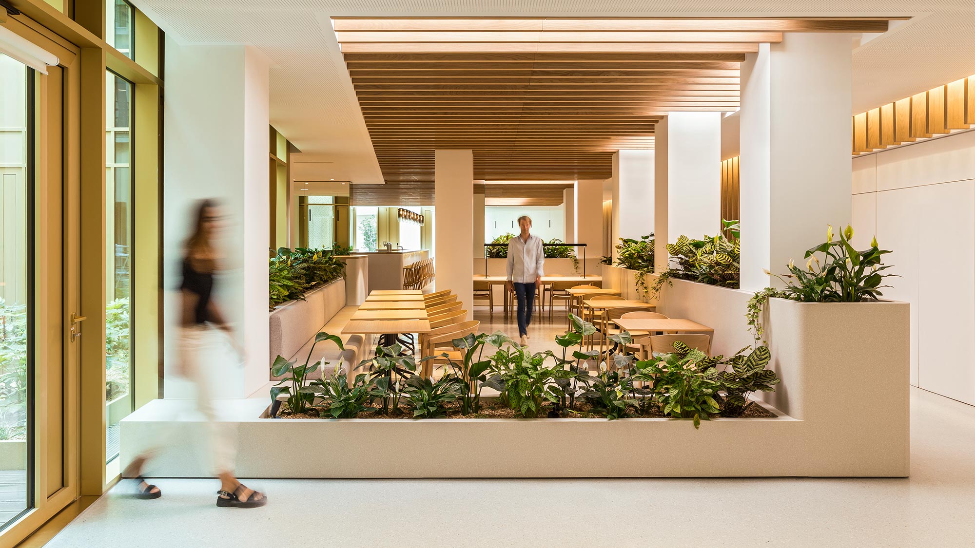 Why Biophilic Design Is Crucial in the Workplace and Beyond