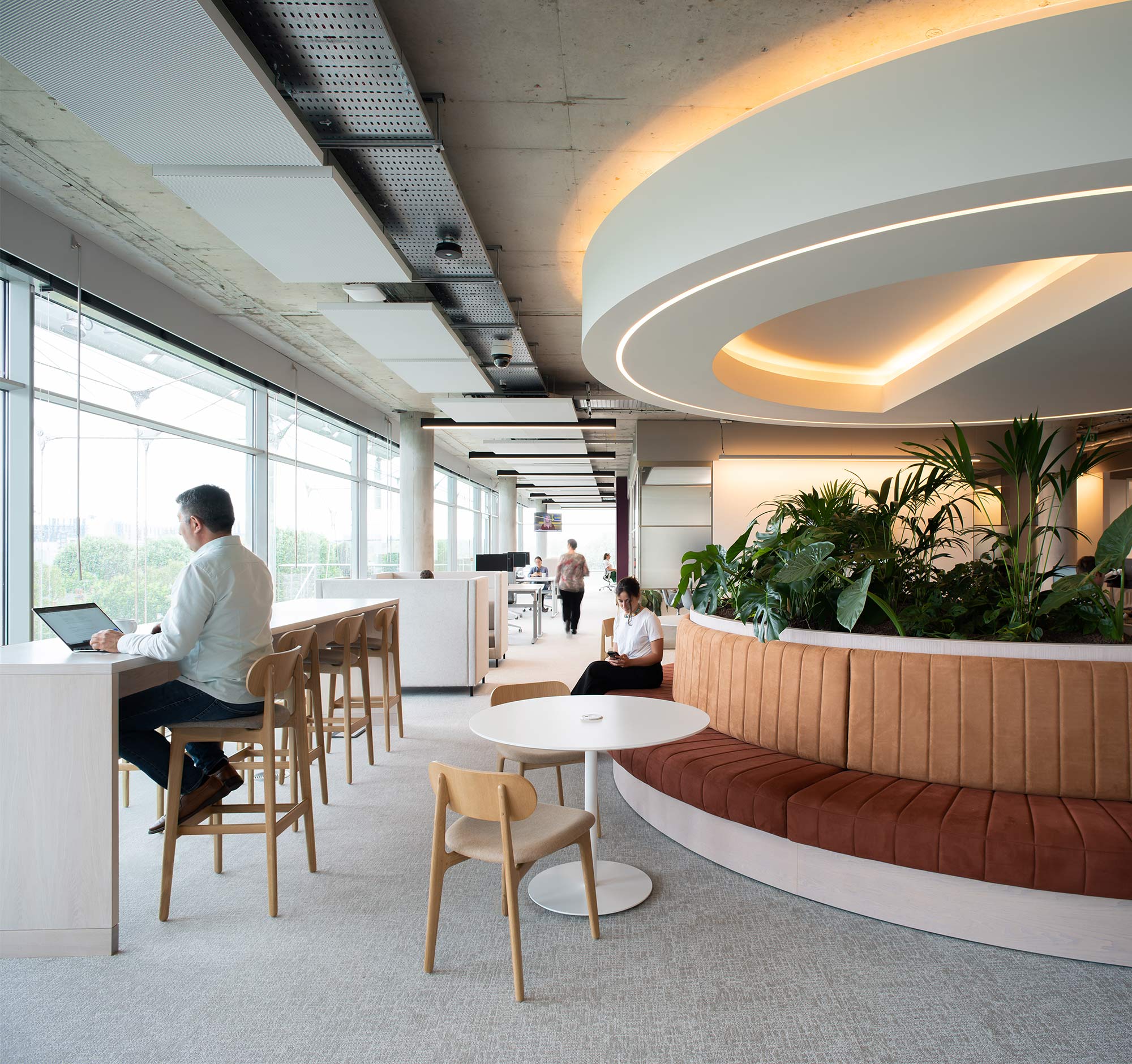 Pladis Global London workplace with biophilia