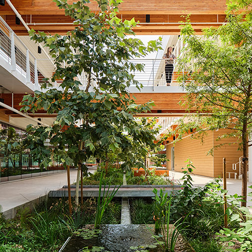 Fifth + Tillery courtyard