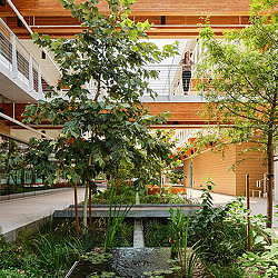 Fifth + Tillery courtyard