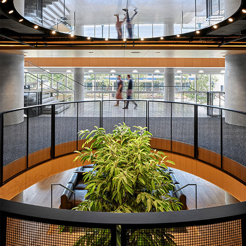 Marriott International Headquarters lobby with tree