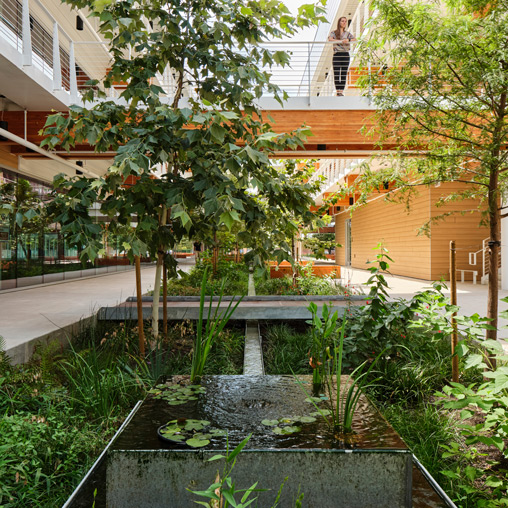 Rethink, Redirect, and Rewild: Nature-Based Design Solutions for Carbon Sequestration