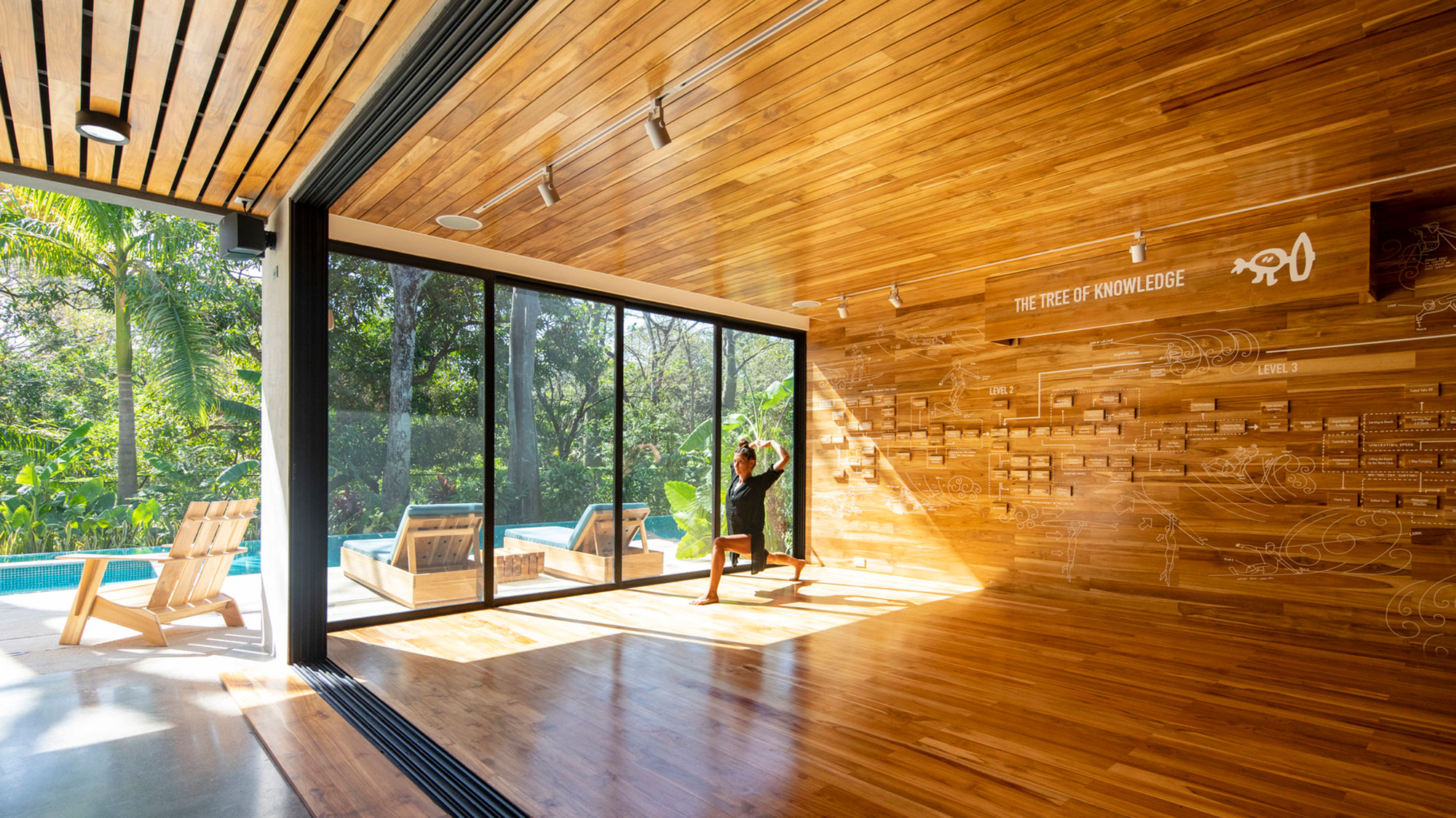 A room with a wood floor and a glass wall with a person standing in it.