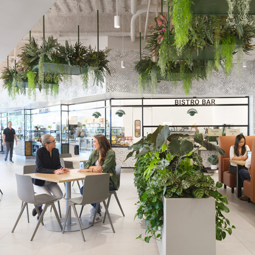 Five Benefits of Leaning into Brand Identity and Culture for Office Design