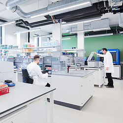 Roche Potsdam laboratory