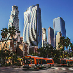 Buses on the street.