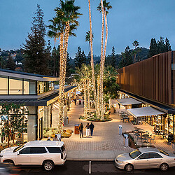 A group of people walking around a building with palm trees.