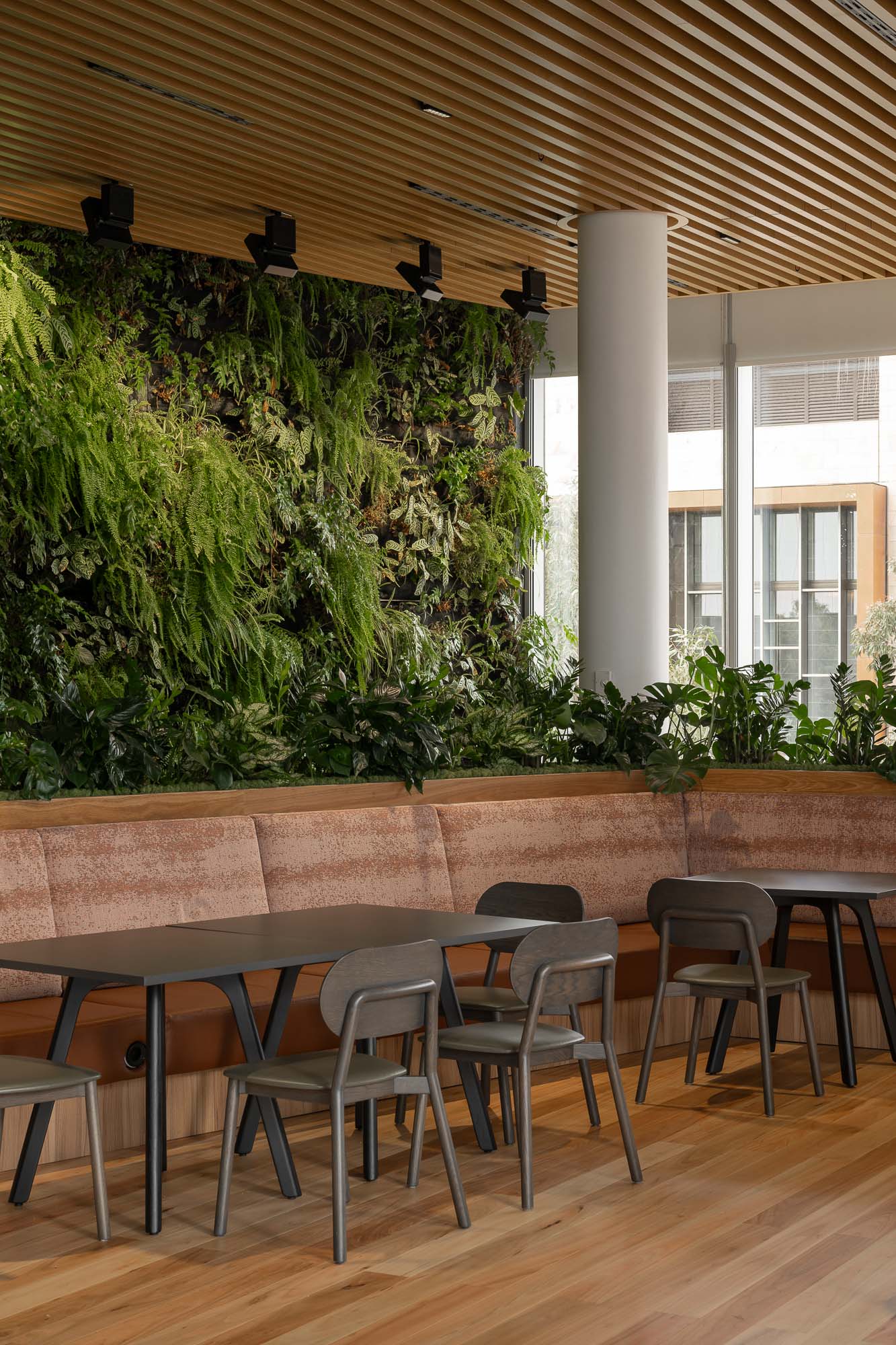 A table with chairs and a plant.