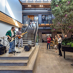 A group of people playing instruments.