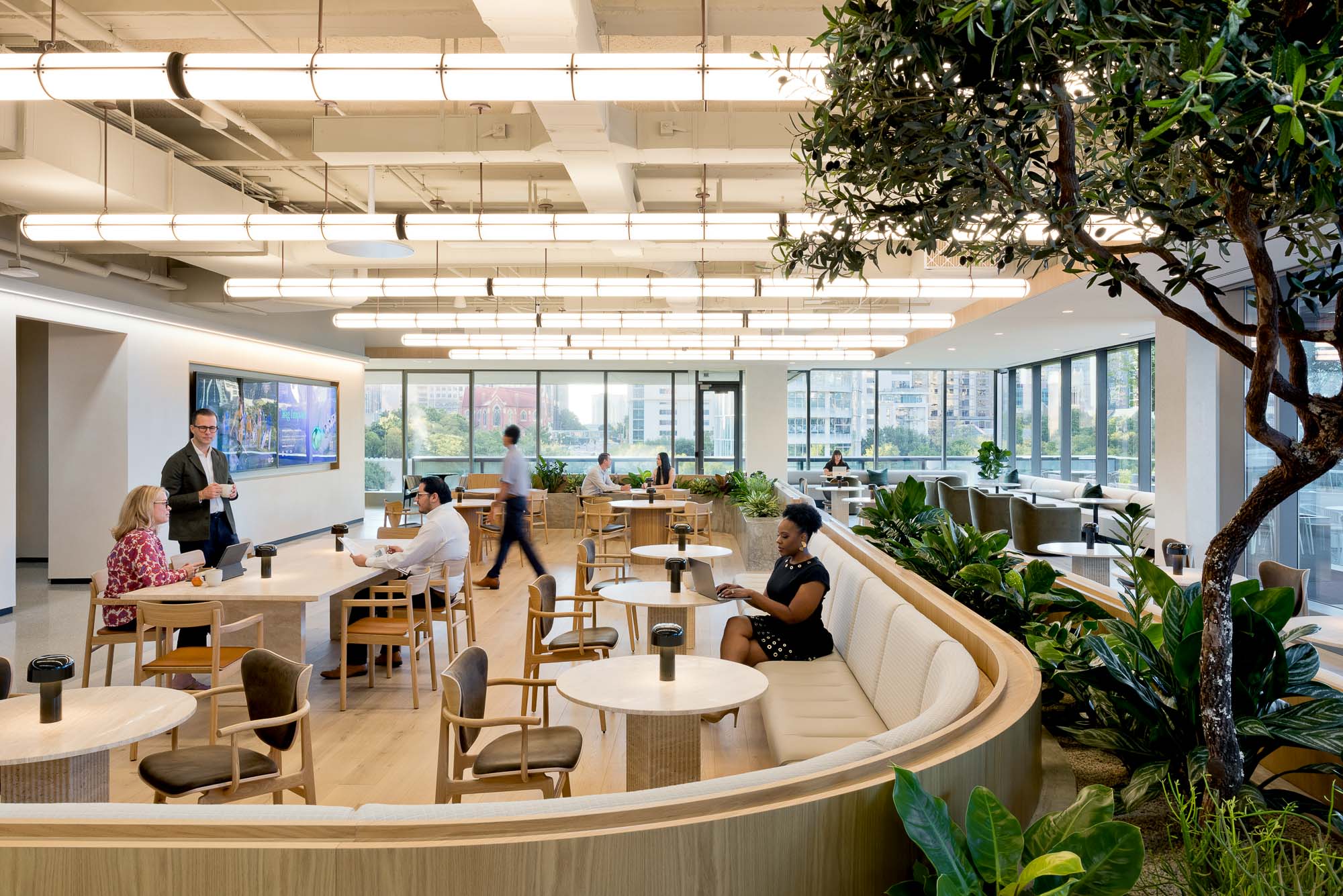 CBRE Dallas open cafe space with indoor tree and horizontal bar lighting
