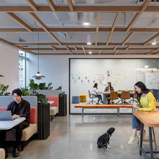 Technology workplace open collaboration space and meeting room