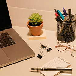 A potted plant next to a laptop and a potted plant.