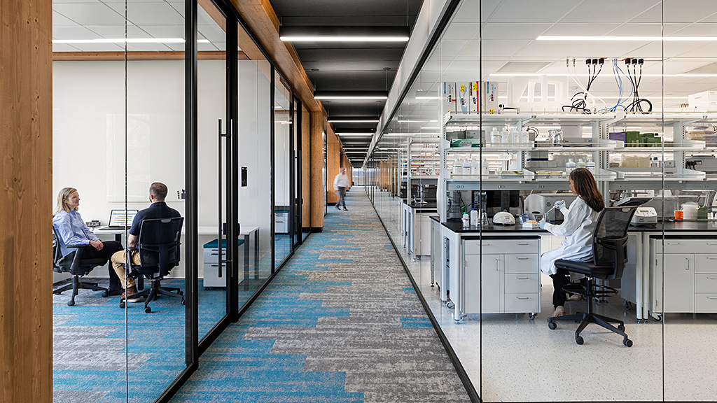 Biolabs New Haven hallway and laboratory