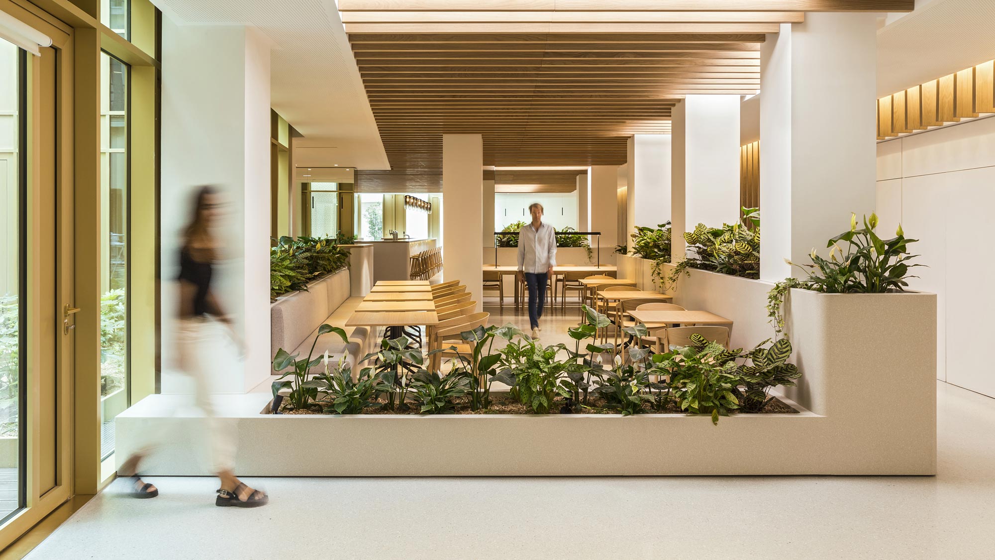 22 Bayard space with biophilia and tables